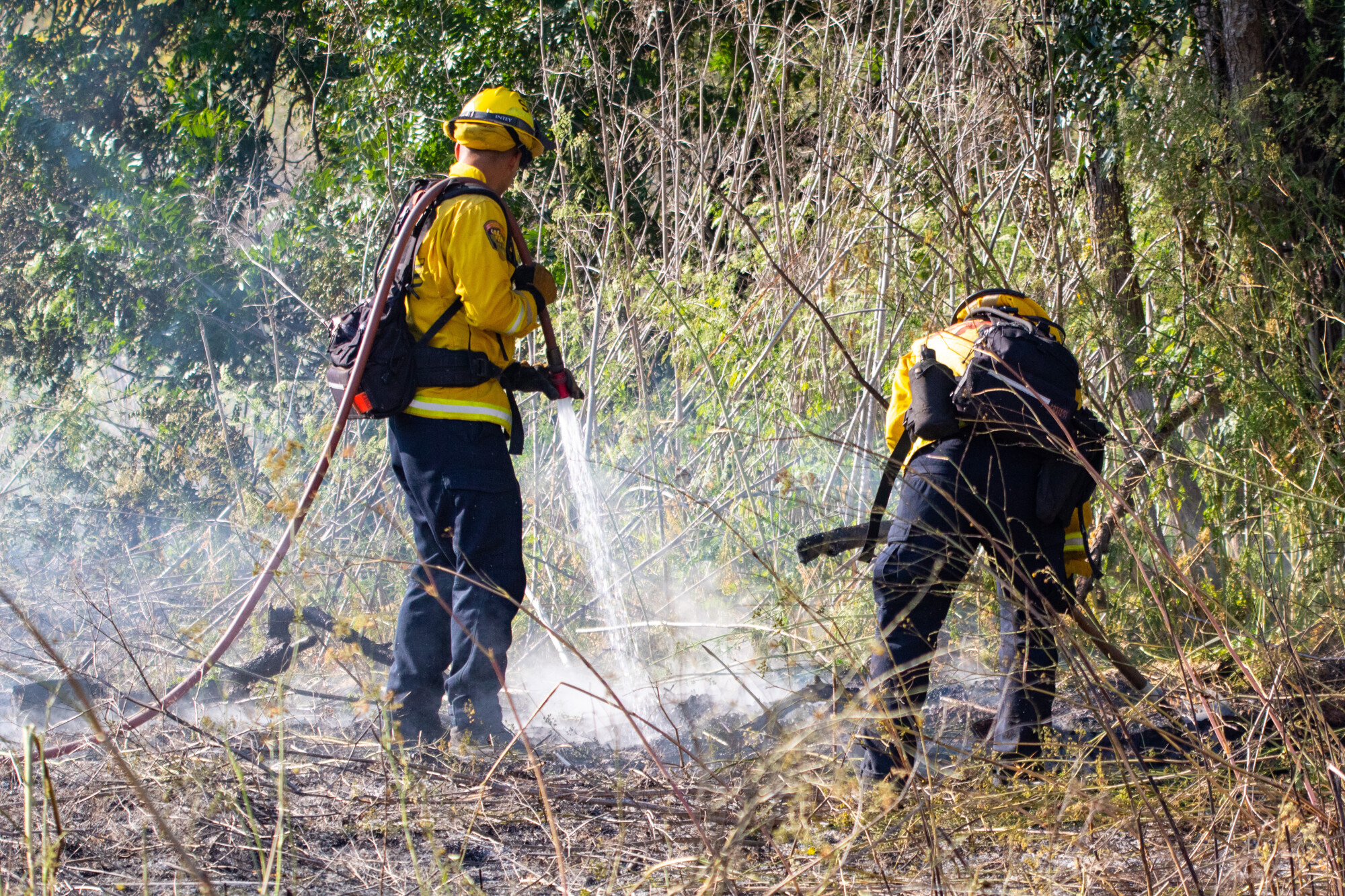Firemen Putting Out Forest Fire